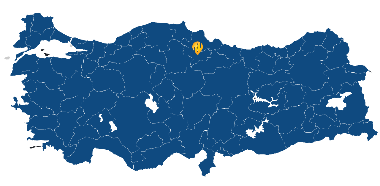 Amasya Araç takip sistemi resmi