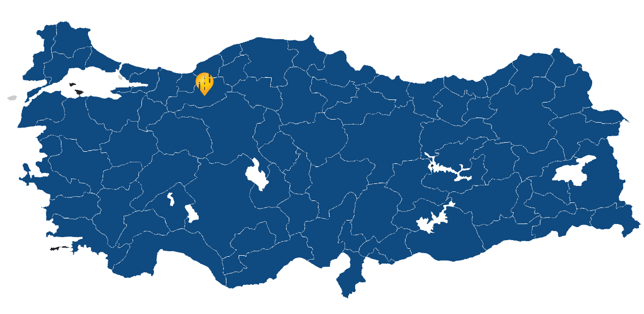 Bolu Araç takip sistemi resmi