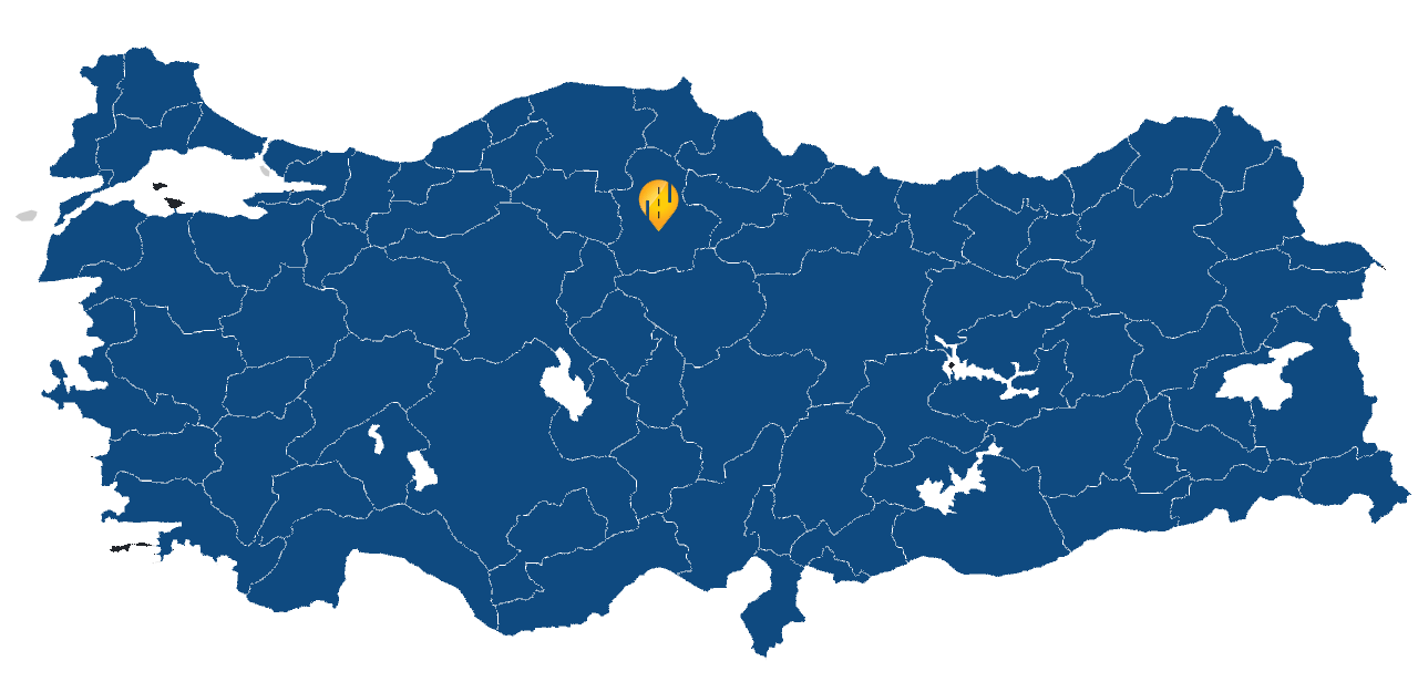 Çorum Araç takip sistemi resmi