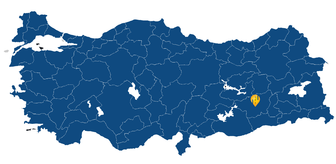 Diyarbakır Araç takip sistemi resmi