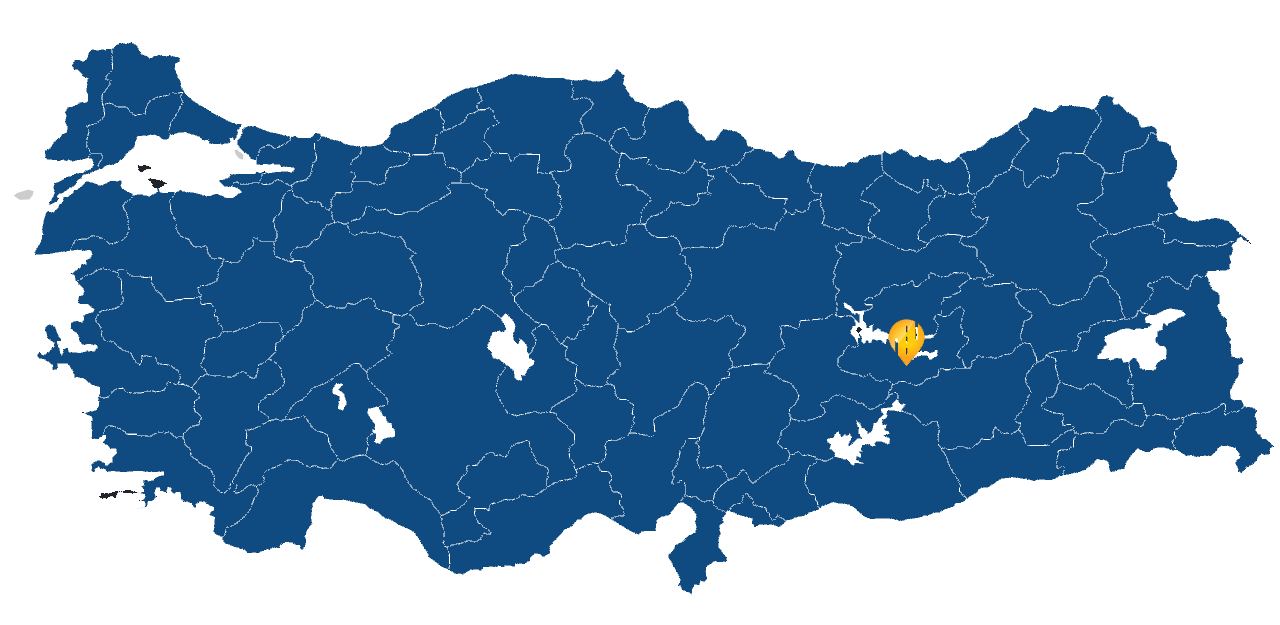 Elazığ Araç takip sistemi resmi