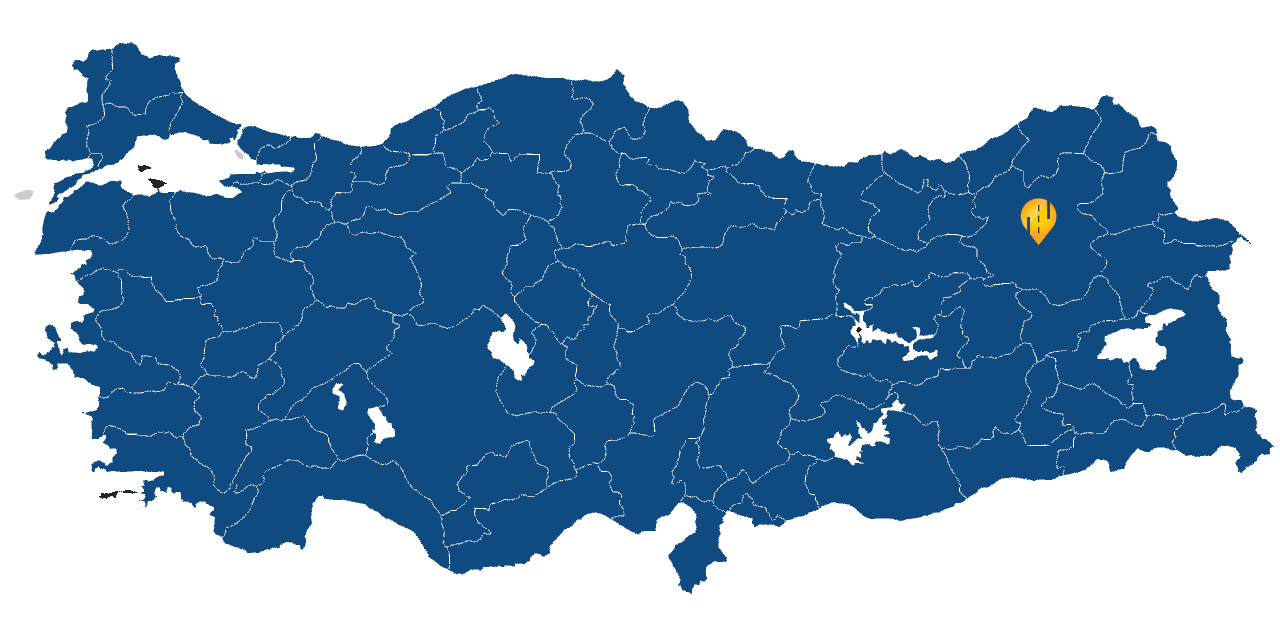Erzurum Araç takip sistemi resmi