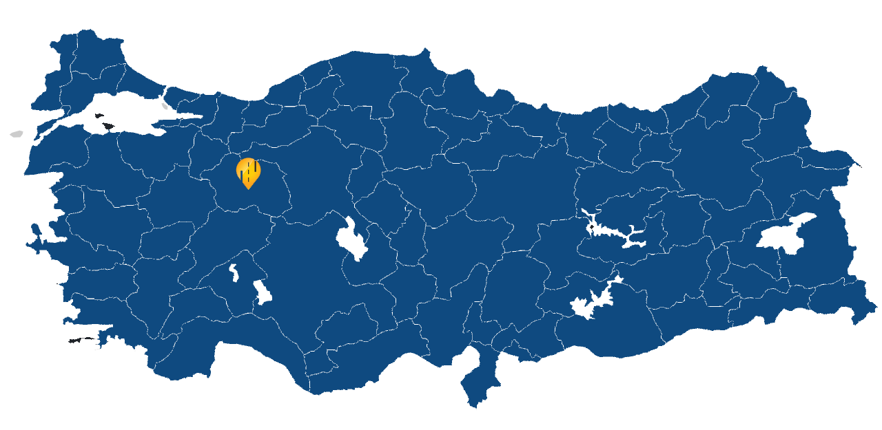 Eskişehir Araç takip sistemi resmi