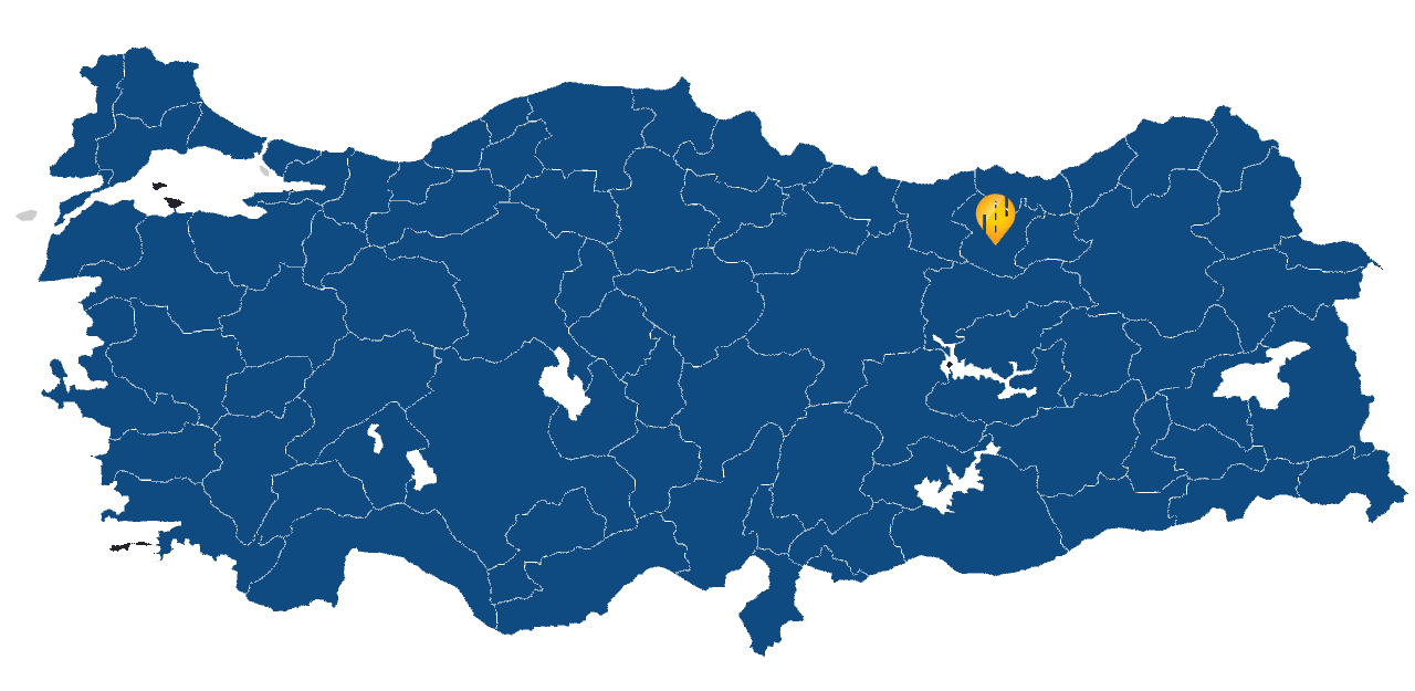 Gümüşhane Araç takip sistemi resmi