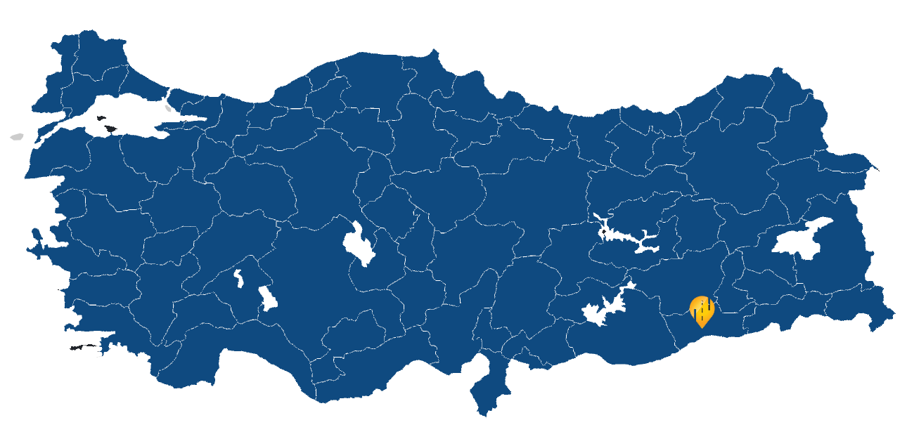 Mardin Araç takip sistemi resmi