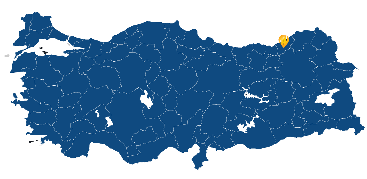 Rize Araç takip sistemi resmi